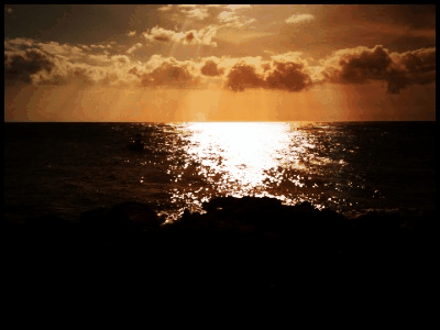 amber waves amber waves