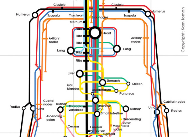 underskin tube detail