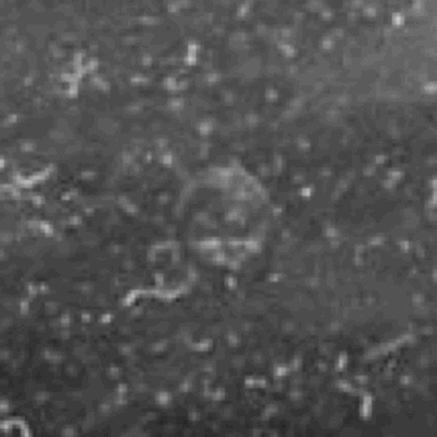 1849 Samuel D. Humphrey moon